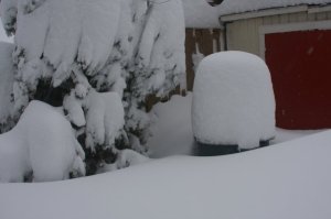 snow covered trash bin